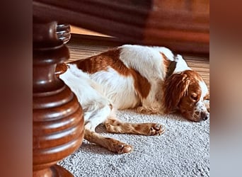 Fish - Es gibt eine freundliche Welt.....