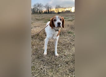 Giotto - wer sagt eigentlich, dass Abenteuer ein Alter haben?