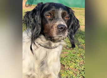 Eros- Nähe, Vertrauen und einfach dazugehören