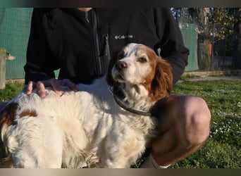 Giotto - wer sagt eigentlich, dass Abenteuer ein Alter haben?