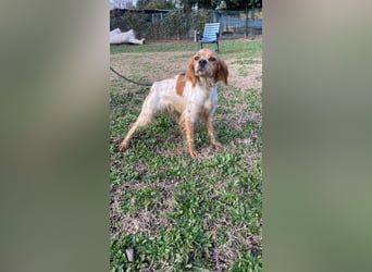 Uliana - Der Sinn des Lebens....