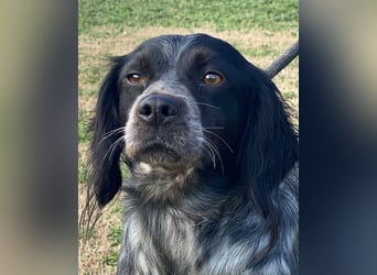 Samira - Gerettet, angekommen, bereit für ein neues Leben