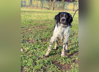 Eros - wenn Vertrauen langsam zurückkehrt