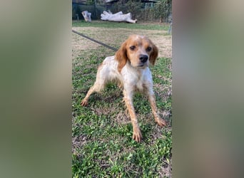 Uliana - Der Sinn des Lebens....