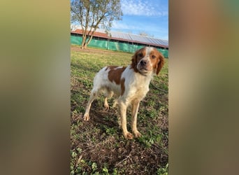 Fish - Es gibt eine freundliche Welt