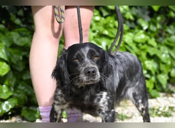 Samira - Gerettet, angekommen, bereit für ein neues Leben