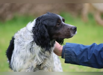 Eros - wenn Vertrauen langsam zurückkehrt