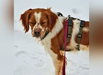 Fish - Es gibt eine freundliche Welt.....