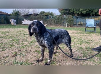 Samira - Gerettet, angekommen, bereit für ein neues Leben