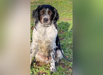 Eros - wenn Vertrauen langsam zurückkehrt