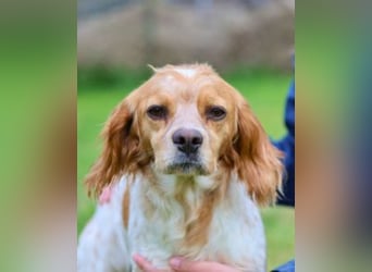 Uliana - Der Sinn des Lebens....