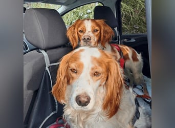 Fish - Es gibt eine freundliche Welt.....