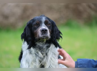 Eros- Nähe, Vertrauen und einfach dazugehören