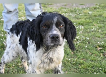 Eros- Nähe, Vertrauen und einfach dazugehören