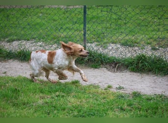 Uliana - Der Sinn des Lebens....