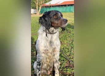 Eros- Wenn ein Wegwerfartikel ein Herz hat