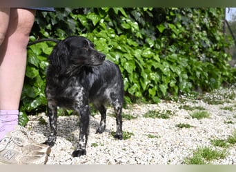 Samira - Gerettet, angekommen, bereit für ein neues Leben