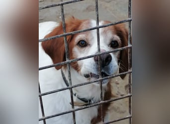 Giotto - Passt zu so viel mehr als nur zum Kaffee!