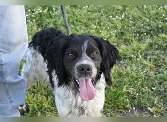 Eros- Nähe, Vertrauen und einfach dazugehören