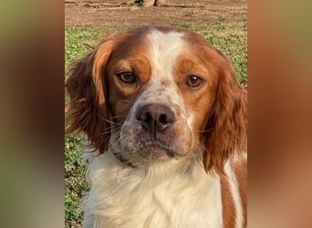 Fish - Es gibt eine freundliche Welt