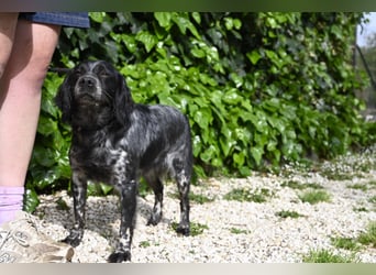 Samira - Gerettet, angekommen, bereit für ein neues Leben