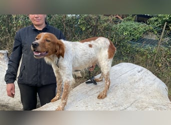 Steve - Freundlichkeit muss sich doch auszahlen