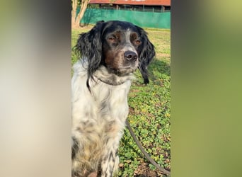 Eros- Wenn ein Wegwerfartikel ein Herz hat