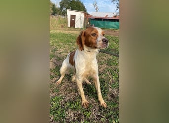 Fish - Es gibt eine freundliche Welt.....