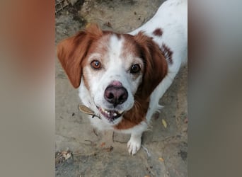 Giotto - wer sagt eigentlich, dass Abenteuer ein Alter haben?