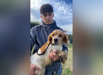 Uliana - Der Sinn des Lebens....