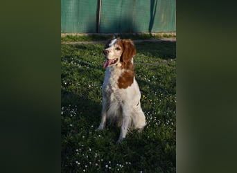 Giotto - wer sagt eigentlich, dass Abenteuer ein Alter haben?