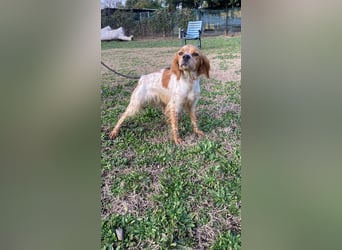 Uliana - Der Sinn des Lebens....