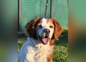 Giotto - wer sagt eigentlich, dass Abenteuer ein Alter haben?