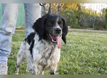 Eros- Nähe, Vertrauen und einfach dazugehören