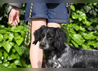 Samira - Gerettet, angekommen, bereit für ein neues Leben