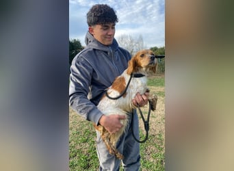 Uliana - Der Sinn des Lebens....