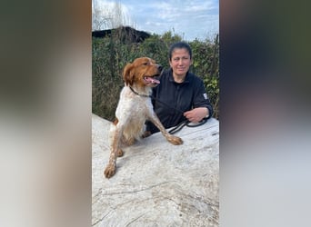 Steve - der Weg ins große Glück