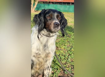 Eros - wenn Vertrauen langsam zurückkehrt