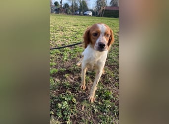 Fish - Es gibt eine freundliche Welt