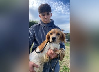 Uliana - Der Sinn des Lebens....