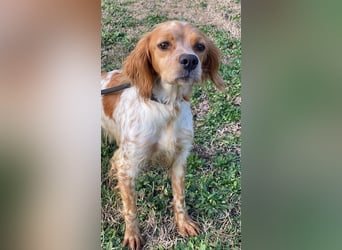 Uliana - Der Sinn des Lebens....