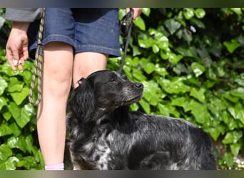 Samira - Gerettet, angekommen, bereit für ein neues Leben