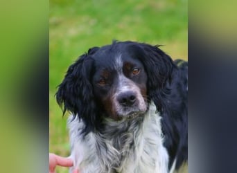 Eros- Nähe, Vertrauen und einfach dazugehören