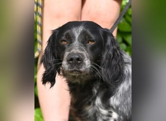 Samira - Gerettet, angekommen, bereit für ein neues Leben