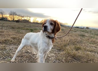 Giotto - Passt zu so viel mehr als nur zum Kaffee!