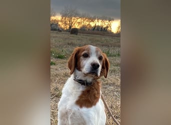 Giotto - wer sagt eigentlich, dass Abenteuer ein Alter haben?