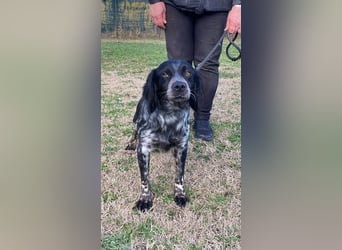 Samira - Gerettet, angekommen, bereit für ein neues Leben