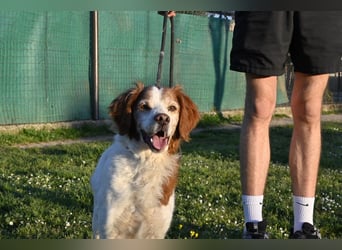 Giotto - wer sagt eigentlich, dass Abenteuer ein Alter haben?