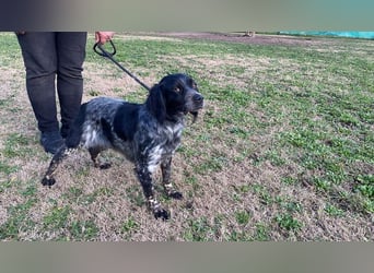 Samira - Gerettet, angekommen, bereit für ein neues Leben