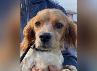 Uliana - Der Sinn des Lebens....